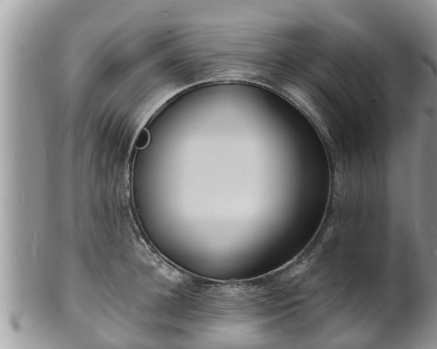 X0000102230948200808011222