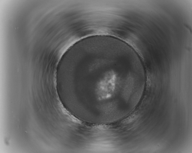 X0000102230950200808011222