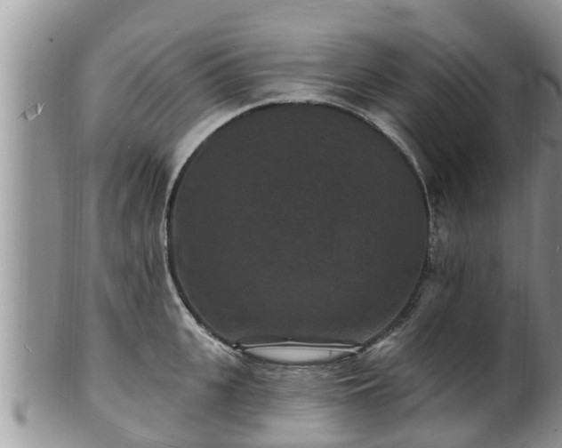 X0000102230951200808011222