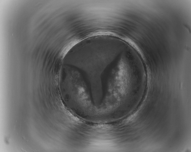 X0000102230953200808011222