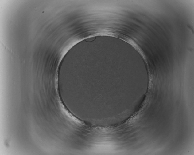 X0000102230955200808011222