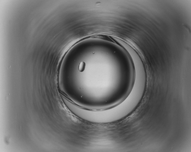 X0000102230956200808011222