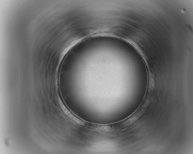 X0000102230957200808011222