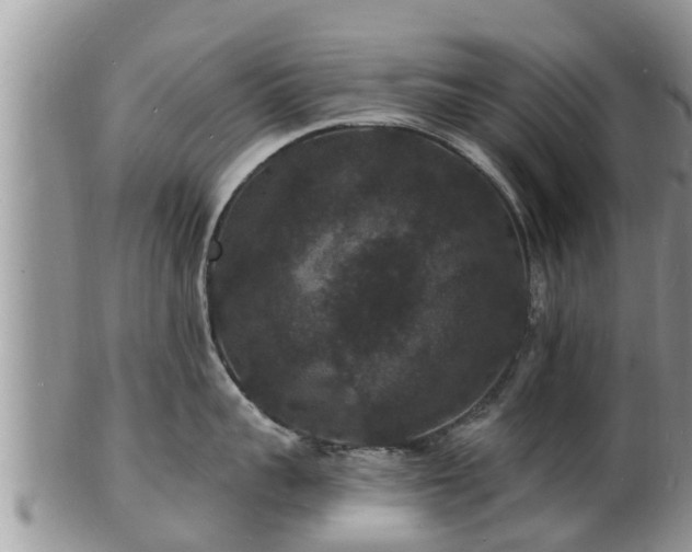X0000102230959200808011222