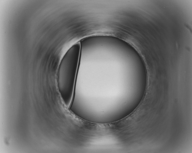 X0000102230960200808011223