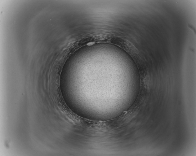 X0000102230961200808011222