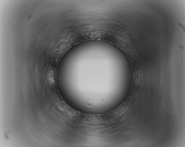 X0000102230962200808011222