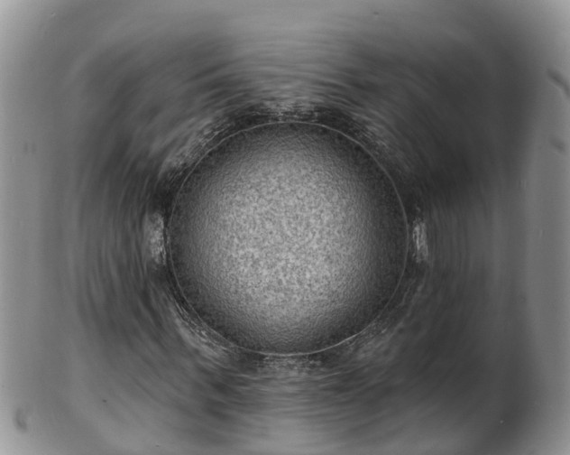 X0000102230963200808011222
