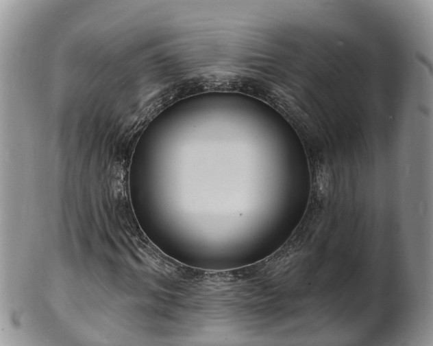 X0000102230964200808011222