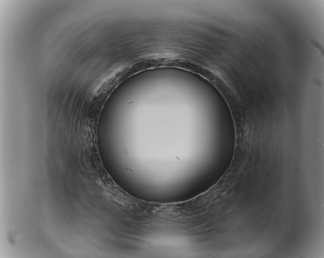 X0000102230967200808011222