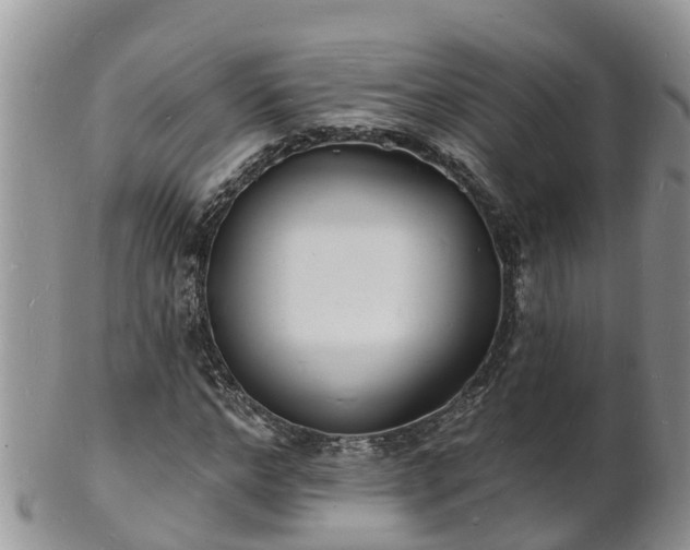 X0000102230968200808011222