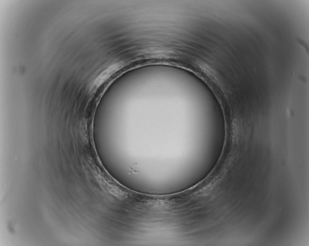 X0000102230970200808011222