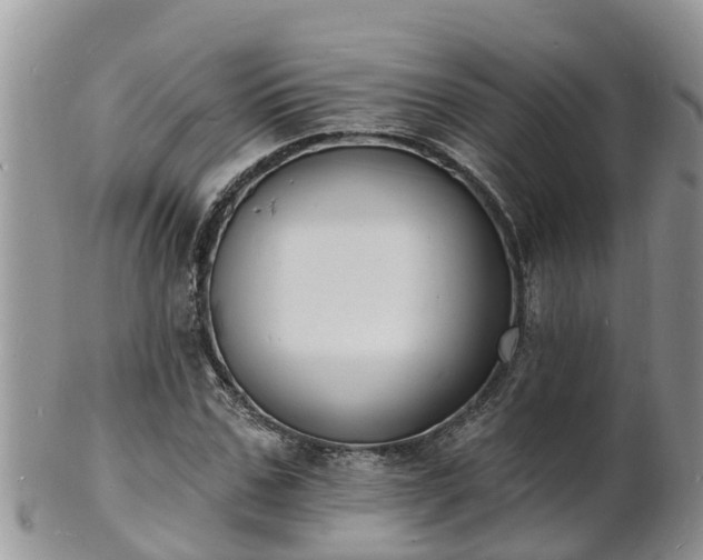 X0000102230971200808011222