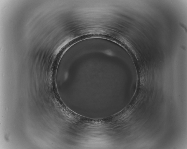 X0000102230975200808011222