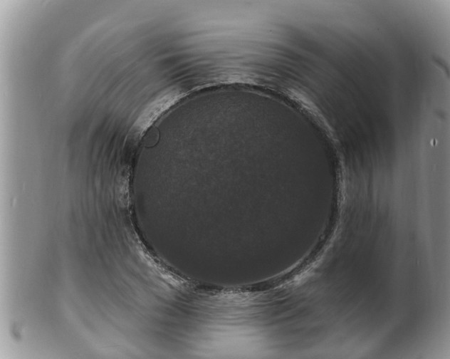 X0000102230977200808011222