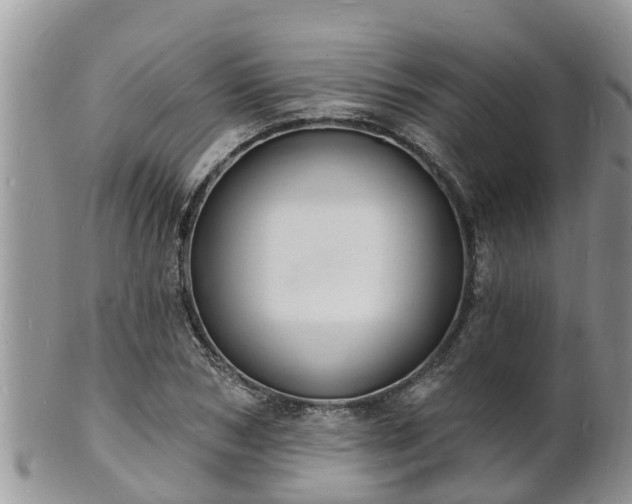 X0000102230978200808011222
