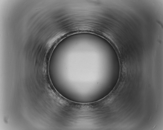 X0000102230979200808011221