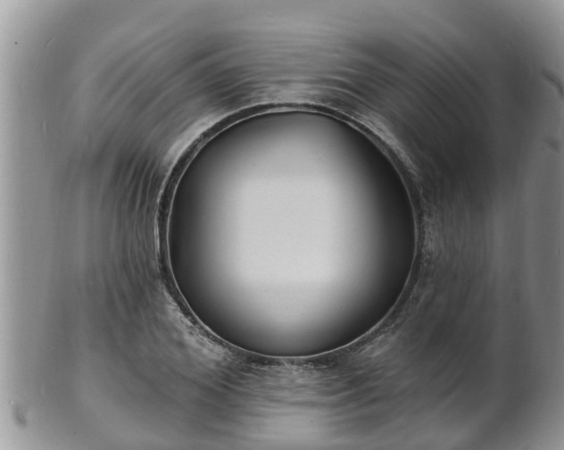 X0000102230980200808011221