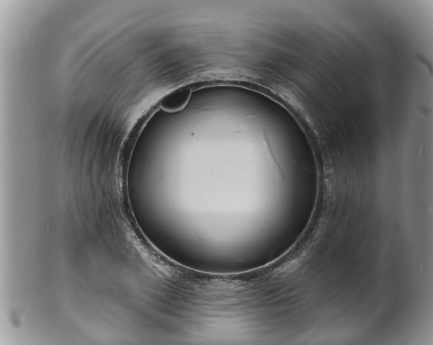 X0000102230981200808011221