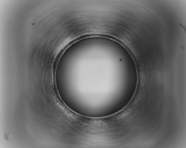 X0000102230982200808011221