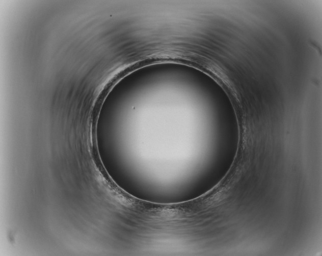 X0000102230984200808011221