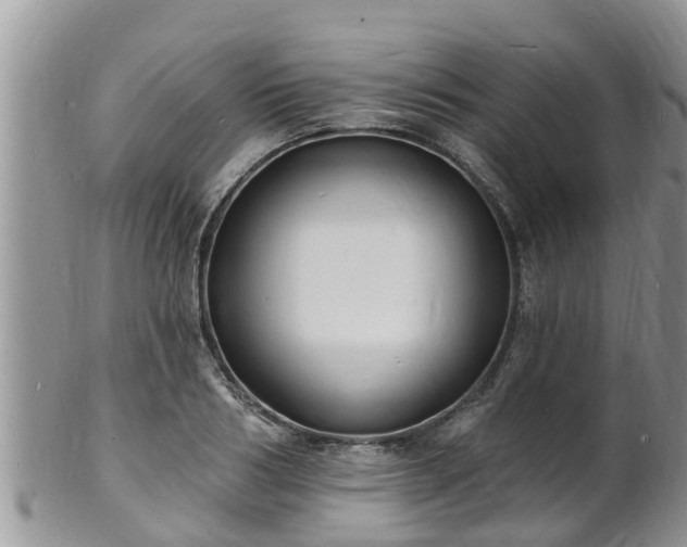 X0000102230986200808011221
