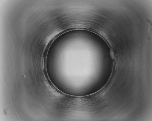 X0000102230987200808011221