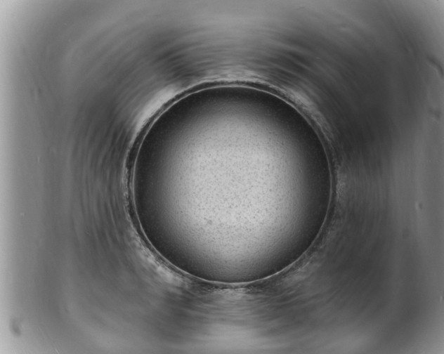 X0000102230990200808011221