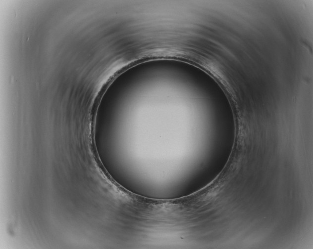 X0000102230992200808011221