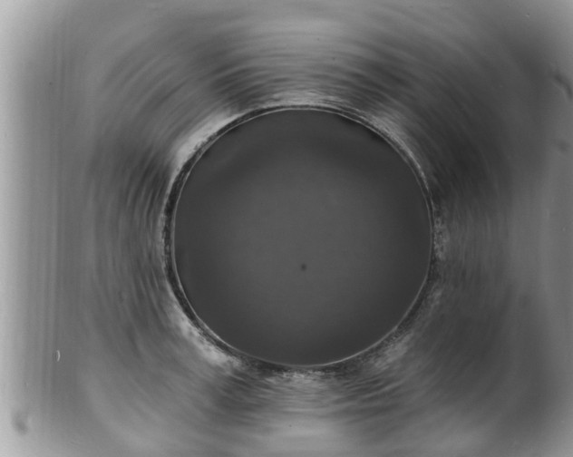 X0000102230995200808011221