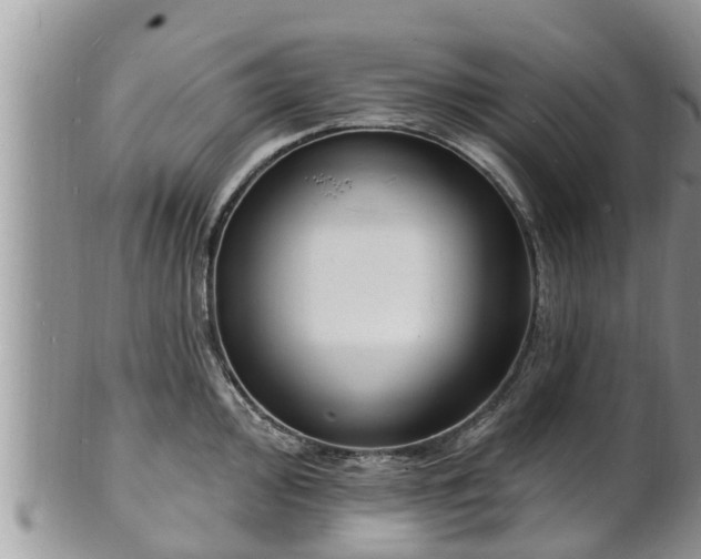 X0000102231000200808011221