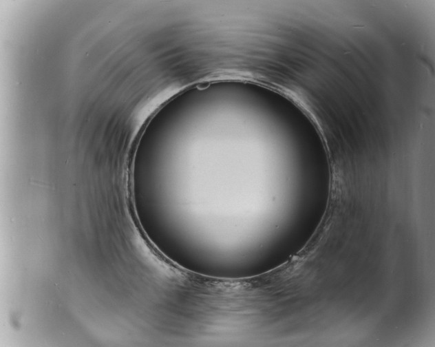 X0000102231003200808011221