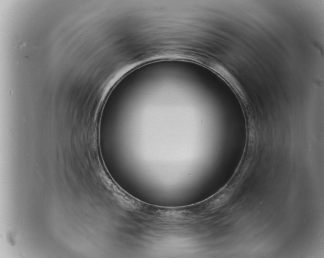 X0000102231004200808011221