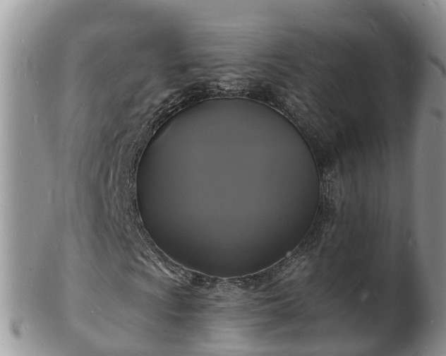 X0000102231009200808011220