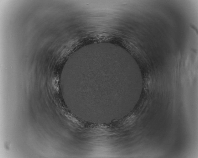 X0000102231010200808011220