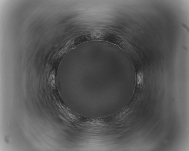 X0000102231011200808011220