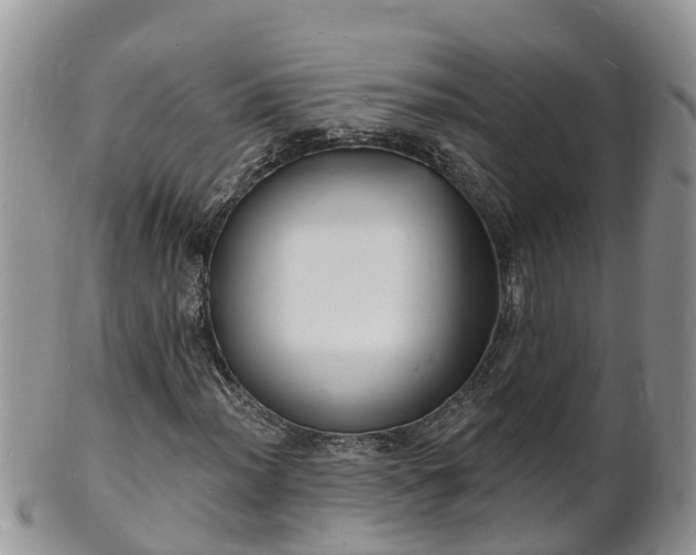 X0000102231012200808011220