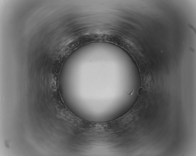 X0000102231013200808011220