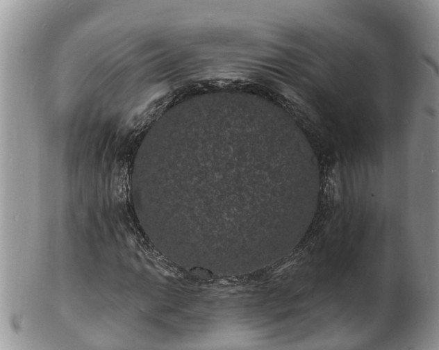 X0000102231014200808011220