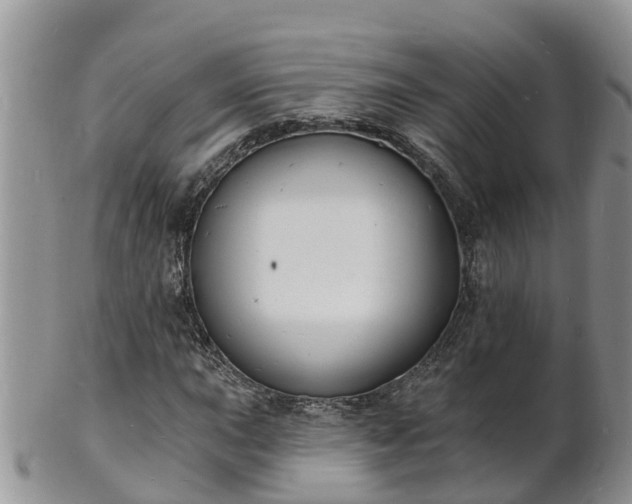 X0000102231015200808011220