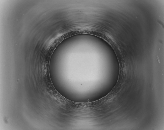 X0000102231016200808011220