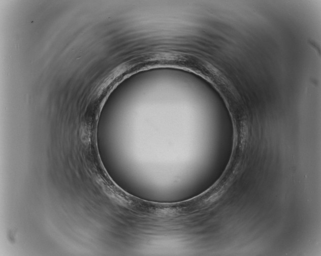 X0000102231017200808011220