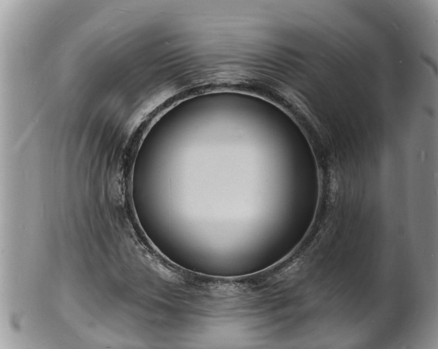 X0000102231018200808011220