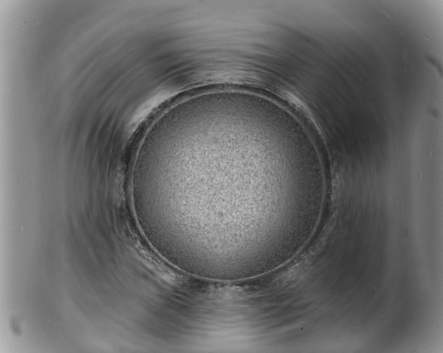 X0000102231019200808011220