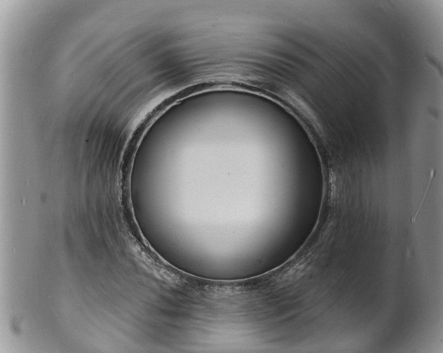 X0000102231020200808011220