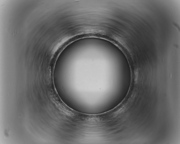 X0000102231021200808011220