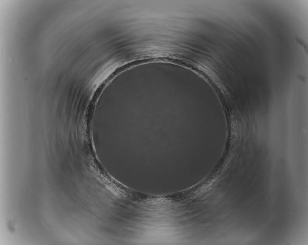 X0000102231023200808011220