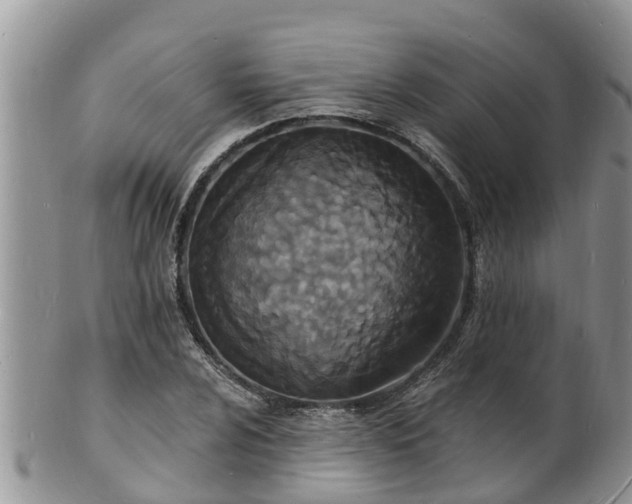 X0000102231024200808011220