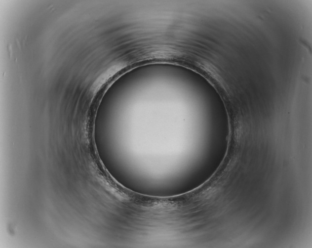 X0000102231026200808011220
