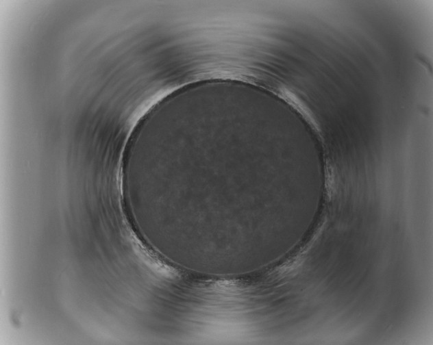 X0000102231028200808011220